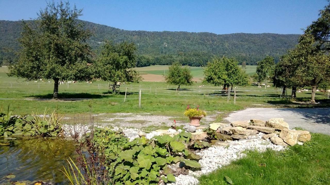 Apartement-Gite Rural A 3 Km De Delemont Courcelon ภายนอก รูปภาพ